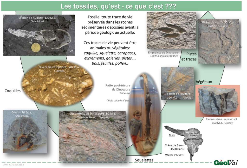 2016 FS1 LES FOSSILES site