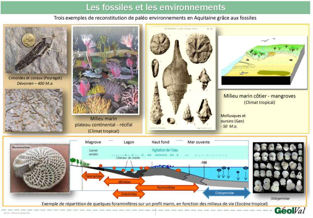2016 FS3 FACIES V3 site