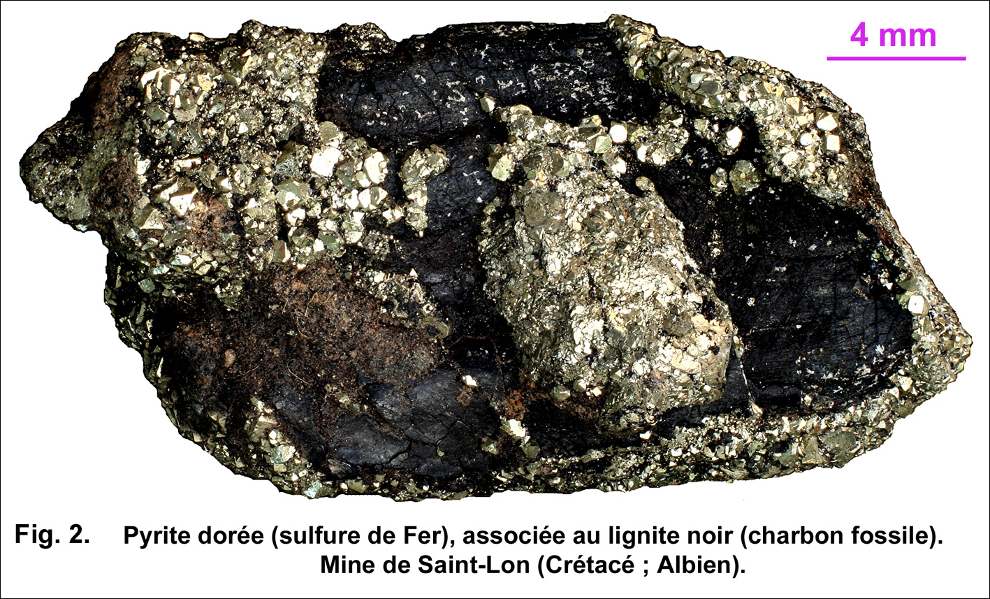 Fig.2 pyrite lignite