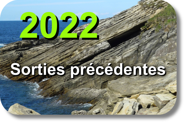 2022 precedentes
