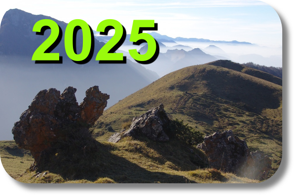 2024