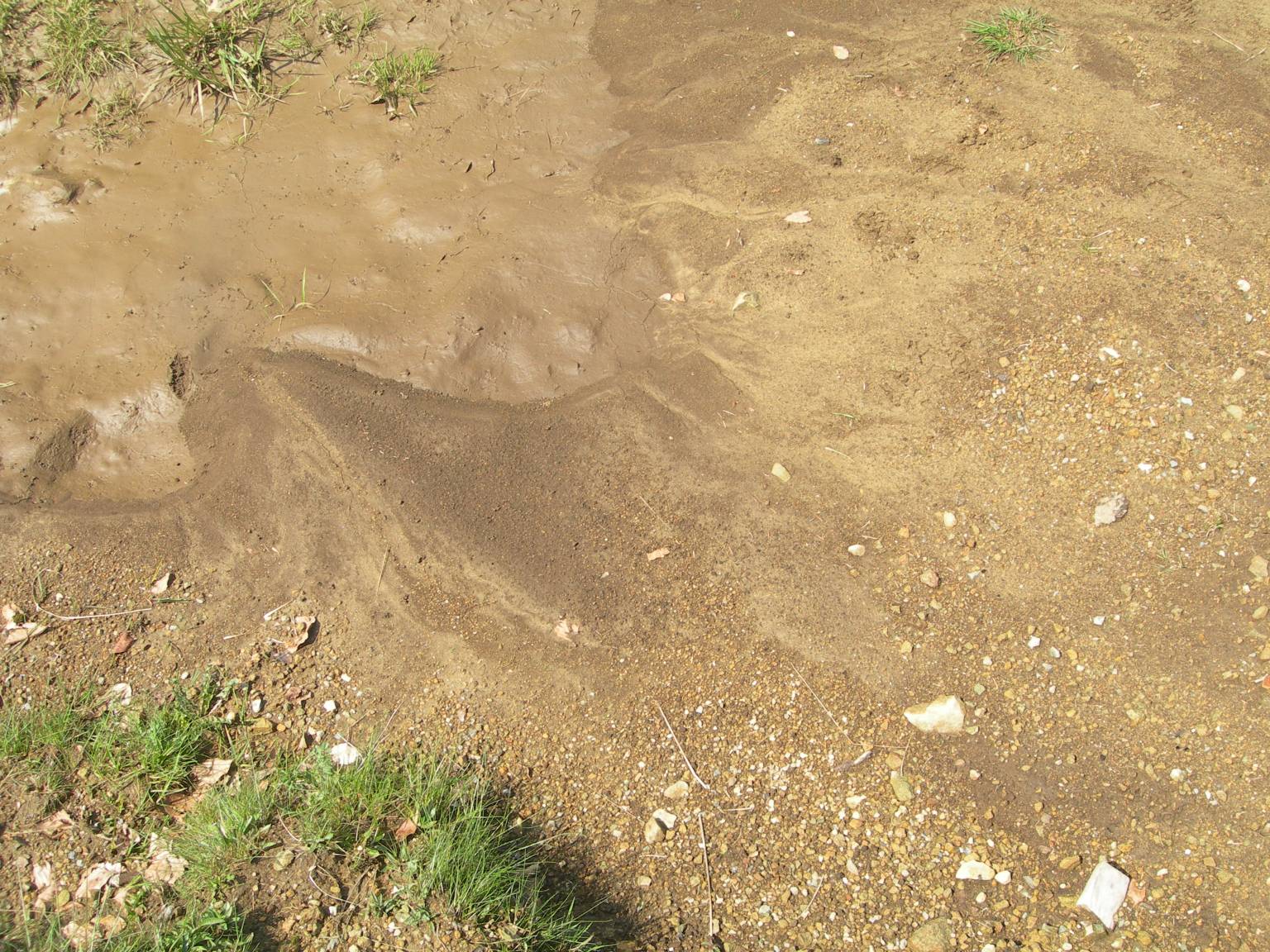 image001