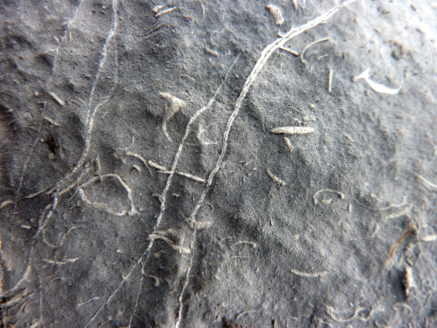 image001