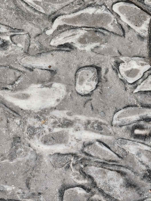 image013